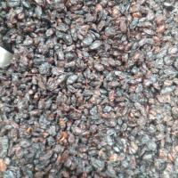 زرشک سیاه 1 کیلوگرم