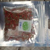 تخم اسفناج چشمه