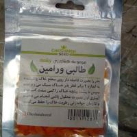 تخم طالبی ورامین