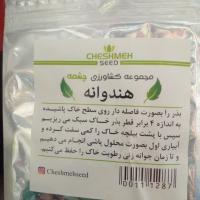 تخم هندوانه چشمه