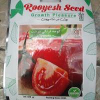 تخم گوجه فرنگی درشت رویش بذر