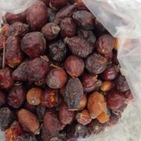 میوه نسترن ۷۵ گرم