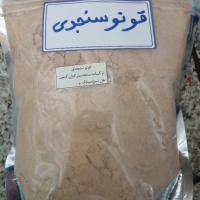 قوتو سنجدی ارگاتیک