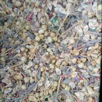 اسپند مخلوط