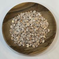 مغز هسته زردآلو نمك دريا