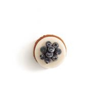 موس پنیر و بلوبری