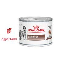 کنسرو ریکاوری گربه رویال کنین