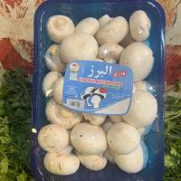 قارچ سفید فله