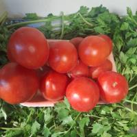 گوجه فرنگی درجه 1