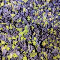 گل ختمی پنیرک