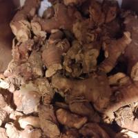 خسرودار قلم