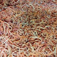 خلال پوست نارنگی