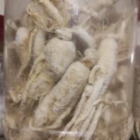 جنسینگ سفید 