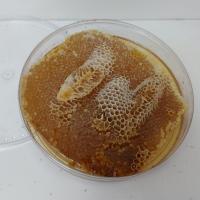 عسل موم دامنه های زاگرس