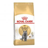 غذای خشک گربه رویال کنین Adult British Shorthair
