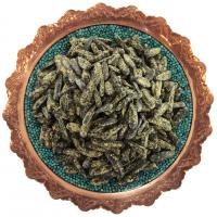 تخمه آفتابگردان گلپری