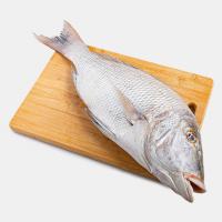 ماهی سنگ سر