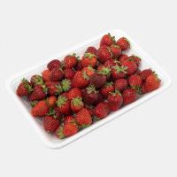 توت فرنگی بوتهای