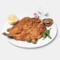 خوراک ماهی قزل آلا