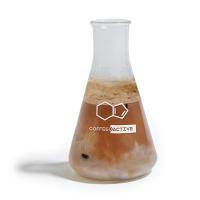 کارامل اسپرسو شیکر