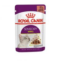 پوچ رویال کنین Sensory Feel