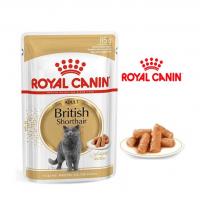 پوچ رویال کنین british adult