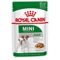 پوچ سگ مینی ادالت رویال کنین