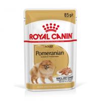 پوچ سگ مخصوص پامرین رویال کنین