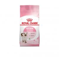 غذای خشک گربه کیتن رویال کنین