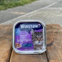 ووم گربه وینستون