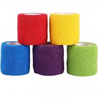 باند خود چسب دست و پای سگ