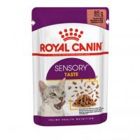 پوچ گربه حساس به طعم غذا در سس رویال کنین Sensory Taste In Grav
