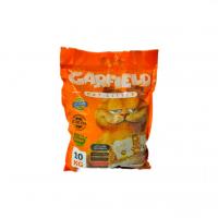 خاک گربه گارفیلد ساده وزن 10 کیلوگرم