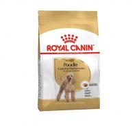 غذای خشک سگ رویال کنین مدل پودل 1.5 کیلوگرم