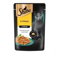 پوچ گربه شبا درژله