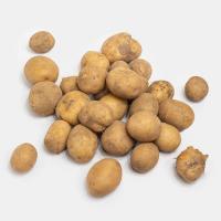 سیب زمینی ریز اقتصادی