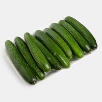 خیار گلخانه ‌ای ورامین 