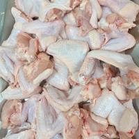 کتف و بال مرغ