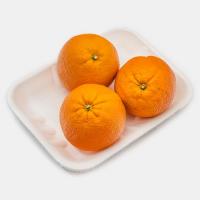 پرتقال شمال ممتاز