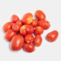 گوجه فرنگی اقتصادی