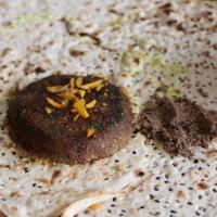 بریان معمولی