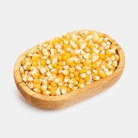 ذرت خشک