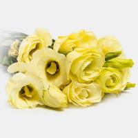 دسته گل لیسینتیوس لیمویی