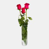 گل رز سه  شاخه  هلندی قرمز با تزئین شیک 