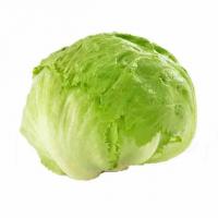 کاهو سالادی