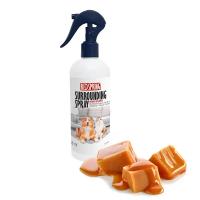 اسپری نانو ضد عفونی کننده و ریمور محیط با رایحه کارامل