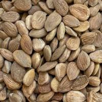 هسته زردآلو