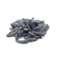 تخمه آفتاب مشکی