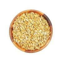 مغز آفتاب گردان شور