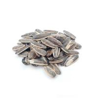 تخمه آفتاب گردان دور سفید